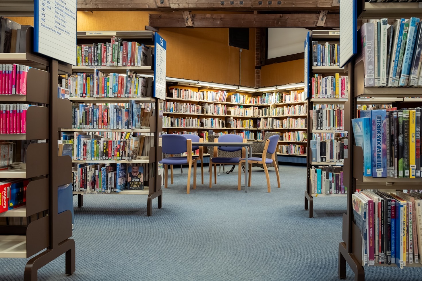 The Role of Multilingual Tools in Cultural Studies